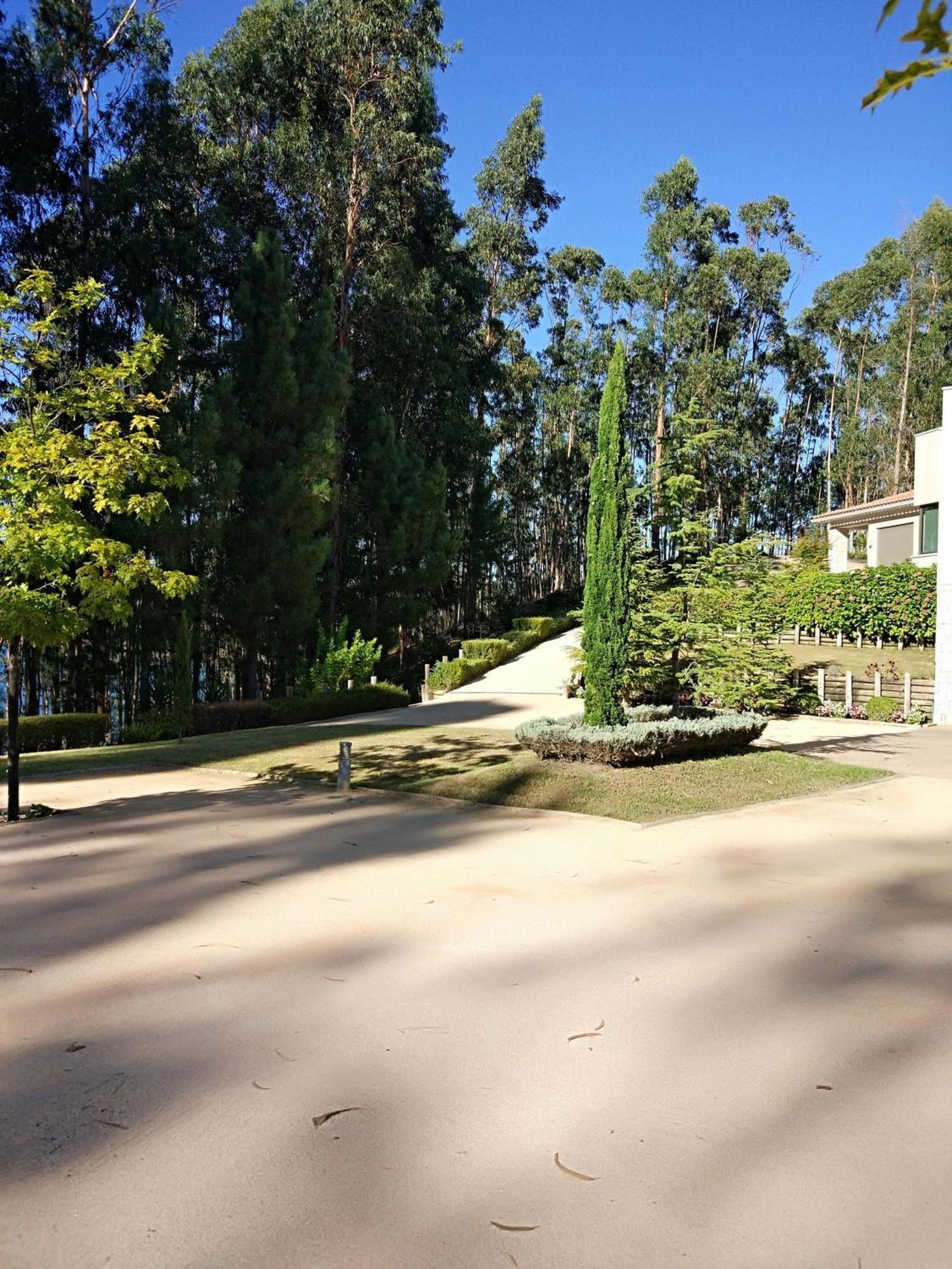 Quinta Da Martinela Ferreira Do Zezereヴィラ エクステリア 写真