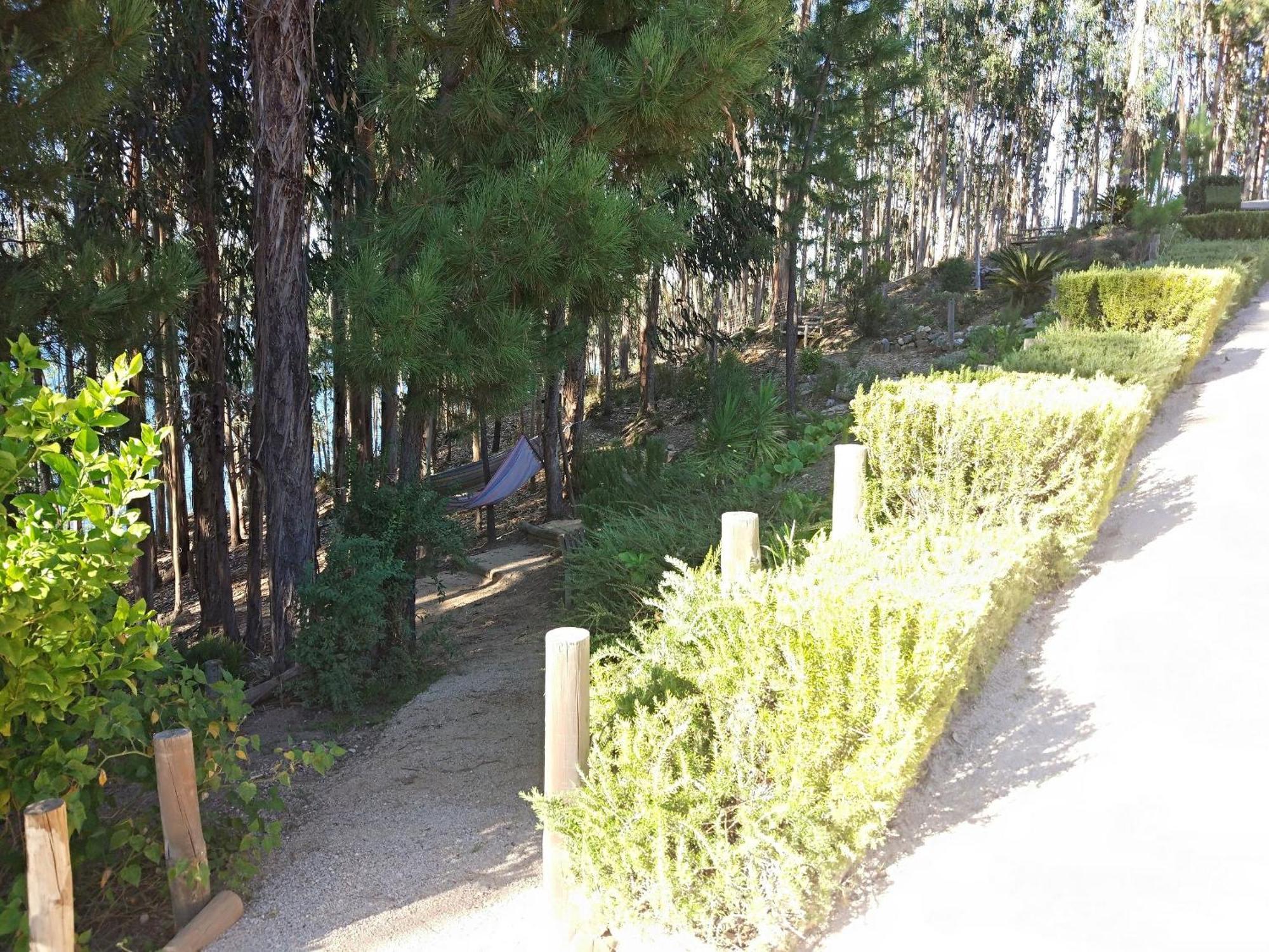 Quinta Da Martinela Ferreira Do Zezereヴィラ エクステリア 写真