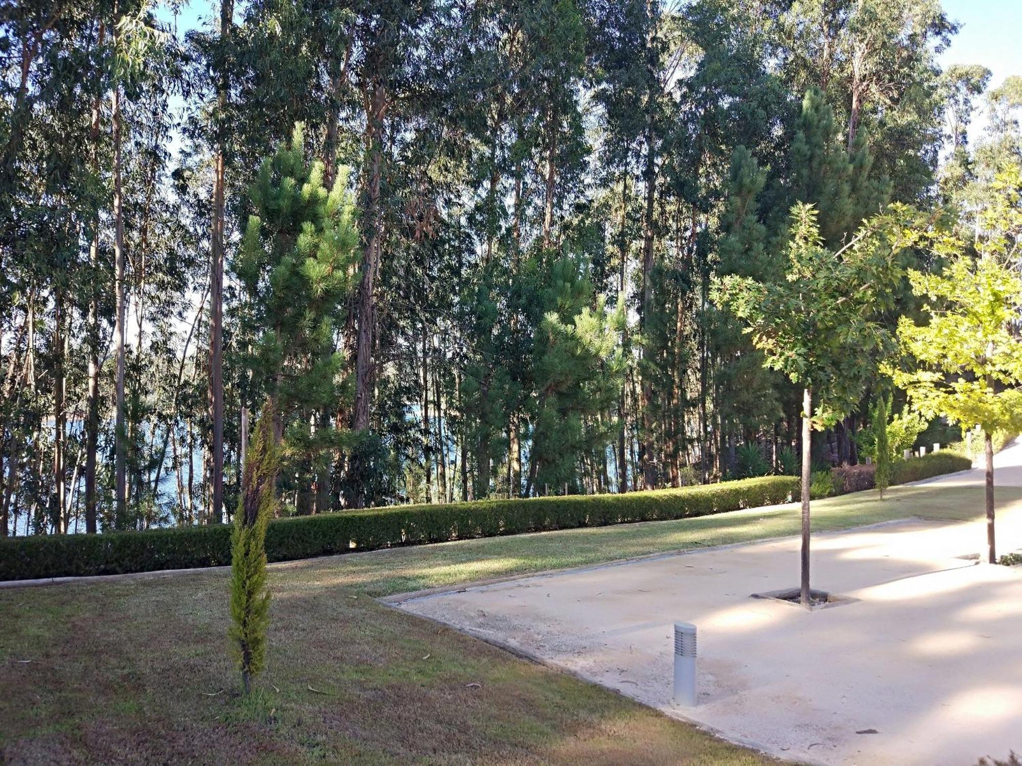 Quinta Da Martinela Ferreira Do Zezereヴィラ エクステリア 写真
