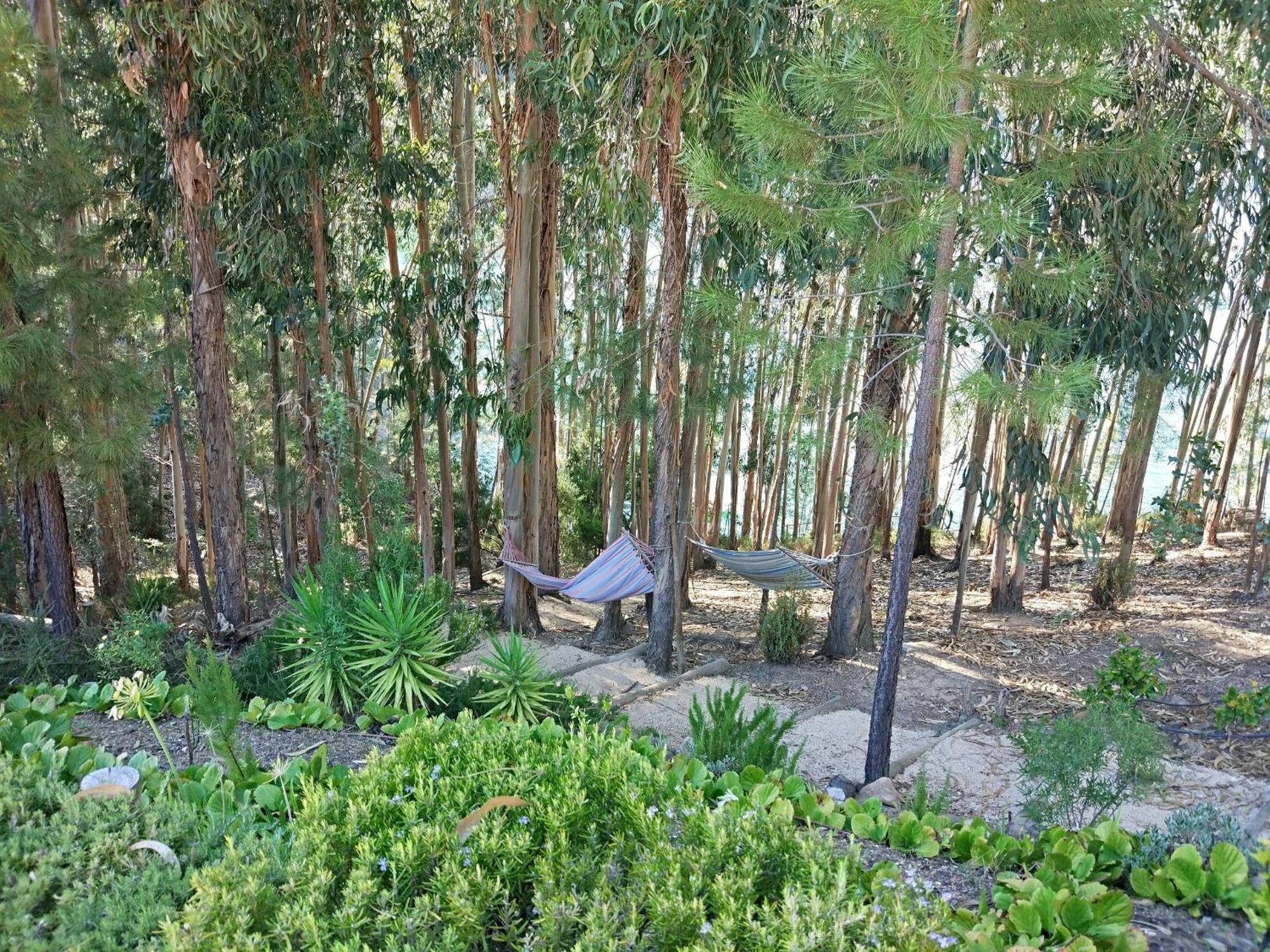 Quinta Da Martinela Ferreira Do Zezereヴィラ エクステリア 写真